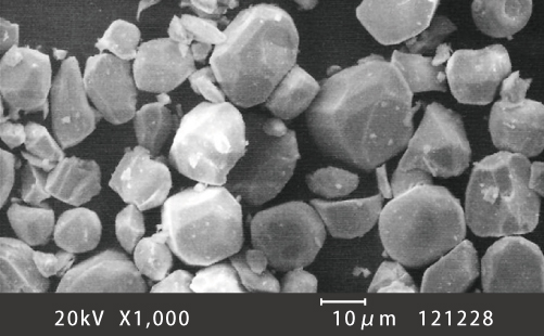 建材用デジタルプリントカラー顔料のSEM(走査電子顕微鏡)画像D-10μm縮尺