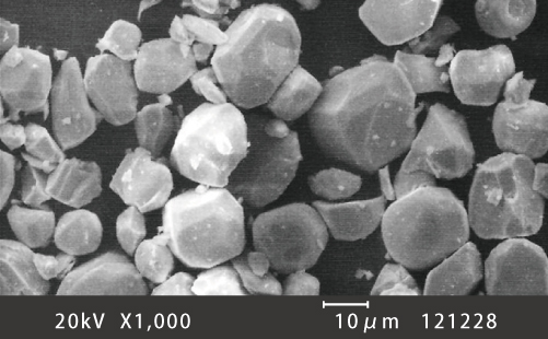 建材用デジタルプリントカラー顔料のSEM（走査電子顕微鏡）画像D－10μm縮尺